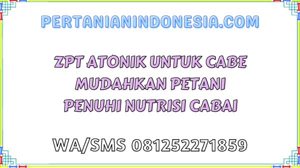 ZPT Atonik Untuk Cabe Mudahkan Petani Penuhi Nutrisi Cabai